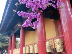 -西安市广仁寺