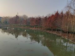 -狼山风景名胜区