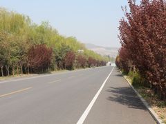 -微山湖红荷湿地景区