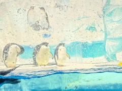 -北京海洋馆