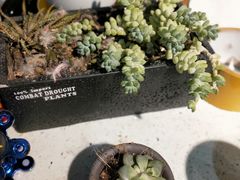 -嘉凯影城(西安恒大城店)