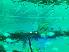 -南昌融创海世界