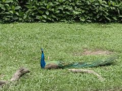 -广州长隆野生动物世界