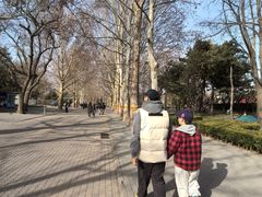 -朝阳公园游乐园