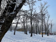 -中旅松花湖滑雪场