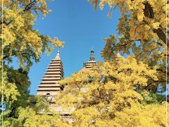 -北京石刻艺术博物馆(五塔寺)