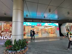 -金鸡湖景区