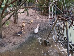 -晓雯人家