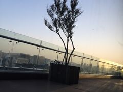 景观位-梧桐餐厅(泉城路店)