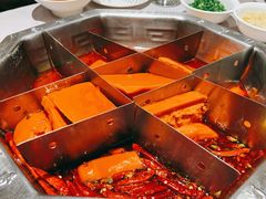 -蜀九香火锅(九眼桥店)