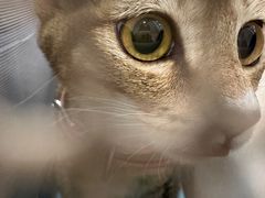 -拜鲁耶动物诊疗中心·宠家动物医院