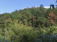 -福清灵石山国家森林公园