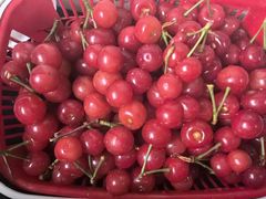 -樱桃山旅游景区