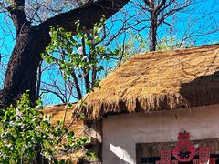 -井塘古村