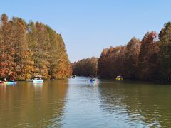 -上海海湾国家森林公园