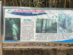 -鲁山国家森林公园