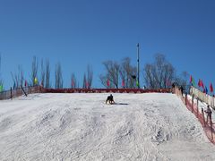 -北京亚布洛尼朝阳公园滑雪场