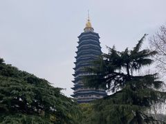 -红梅公园
