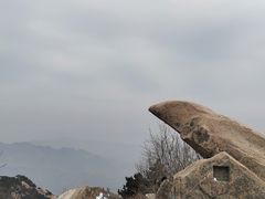 -泰山风景名胜区