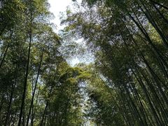-穹窿山景区