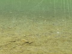 -雅鲁激流探险漂流