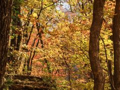 -三块石国家森林公园