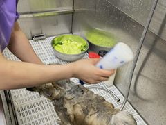 -北京观赏动物医院·24小时大型综合·猫专科·异宠专科