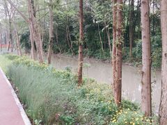 -桤木河湿地公园