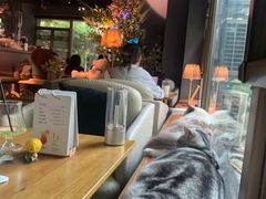 -咖法森林·咖啡  酒吧(天河店)