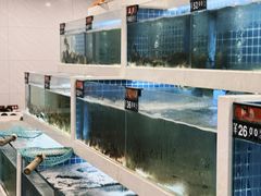 -渔家乐小海鲜(皇姑店)