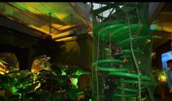 -恐龙探索乐园(磁器口店)