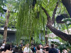 -Fern Forest Cafe