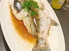 -新天明砂锅鱼头煲