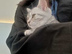 -共舞时光猫咖·狗咖(新街口店)