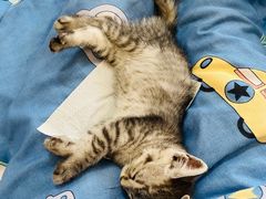 -糖贵妃·冰糖葫芦·刨冰(新街口印象汇店)