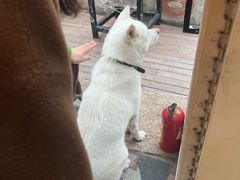 -餐酒吧Com-ing Bar(上海路店)