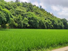 -贵阳市花溪国家城市湿地公园