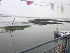 -洪泽湖湾