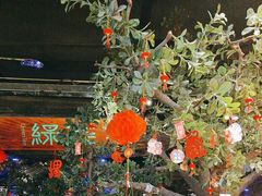 -绿茶餐厅(燕郊永旺店)