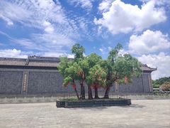 -粤晖园