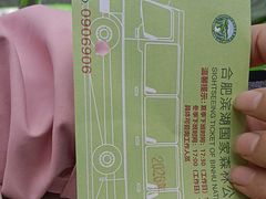 -合肥滨湖国家森林公园