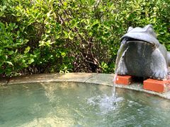 -仁爱团泊湖温泉中心