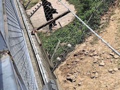 -无锡动物园·太湖欢乐园