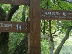 -南宁良凤江国家森林公园