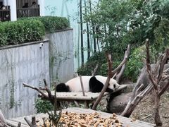 -南宁市动物园