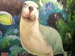 -乐从天佑城海洋馆