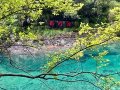 -石台牯牛降景区