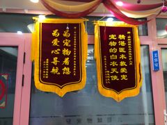 -全心全意连锁动物医院·微创中心·内科急重症·心脏专科(丰管路店)