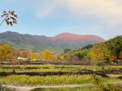 -塔川景区