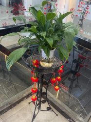 -痘院士祛痘美容皮肤管理